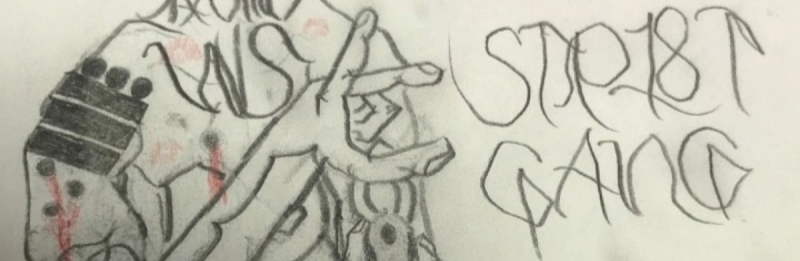 Shady 666 Cover Image